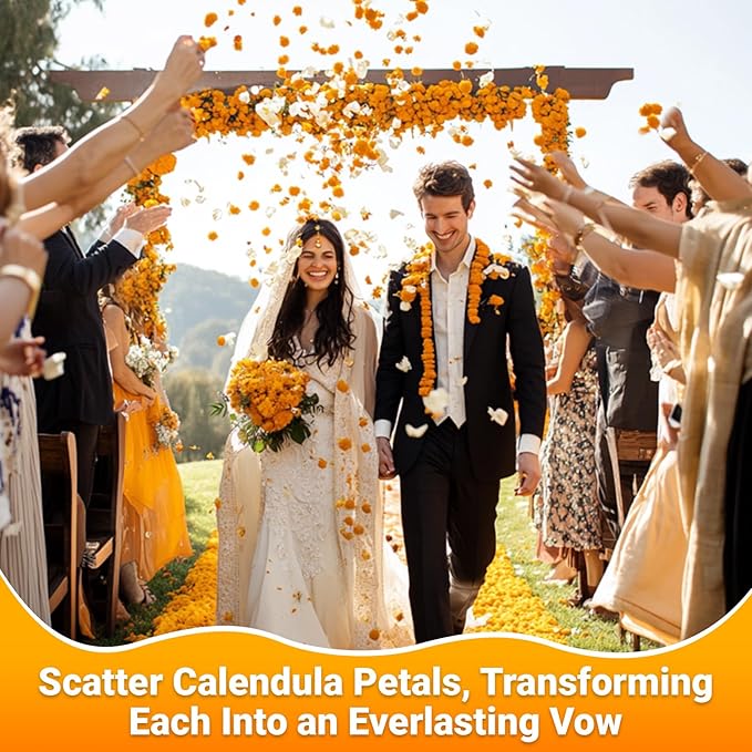 Sukh Dried Calendula - Natural Flowers and Herbs 3oz Bulk Calendula Officinalis Marigold Flowers for Soap Making,Candle,Bath Bombs,Sachets and Wedding Home Decoration