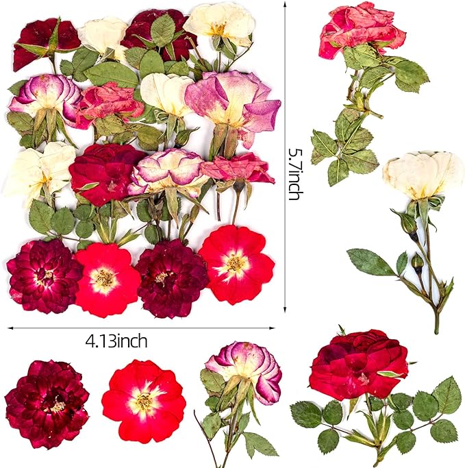 16 Pcs Dried Pressed Flowers, Nauture Pressed Rose, Multi Color Dry Rose, Real Pressed Flora for DIY Jewelry Candle Soap Vase Making Nail Card Scrapbook Art Craft Floral Decors