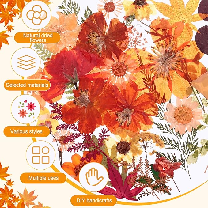 100 Pcs Fall Dried Pressed Flowers, Real Orange Dried Wildflowers Leave with Tweezer Floral Decoration for DIY Crafts, Candle Making, Resin Mold and Scrapbooking