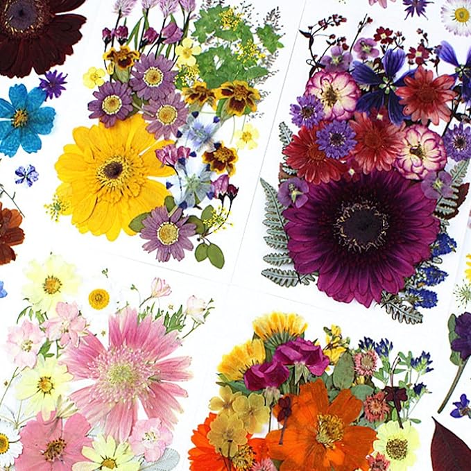 35Pcs Dried Pressed Flowers for Crafts Resin DIY Art Natural Dry Floral Large Size Daisy Colorful Epoxy Jewelry Real Rose Decor Cakes Bookmarks Phone Cases Candles Handmade Soap Papermaking Yellow