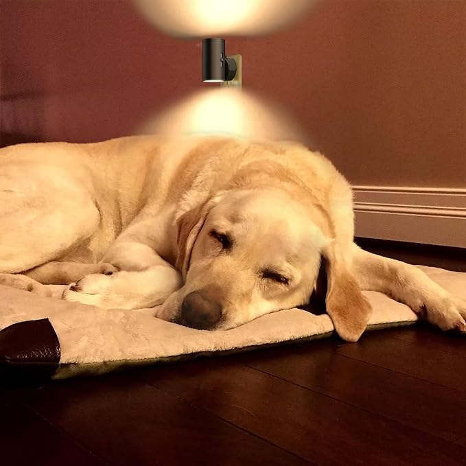 GEPLAD 4 Pack LED Night Light, Plug Into Wall, Dusk to Dawn Sensor, Soft White 3000K,Uplight & Downlight, for Bedroom, Stairway, Hallway,Bathroom Dimmable