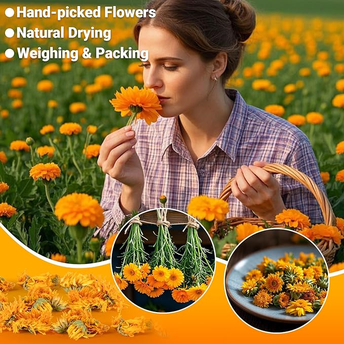 Sukh Dried Calendula - Natural Flowers and Herbs 3oz Bulk Calendula Officinalis Marigold Flowers for Soap Making,Candle,Bath Bombs,Sachets and Wedding Home Decoration