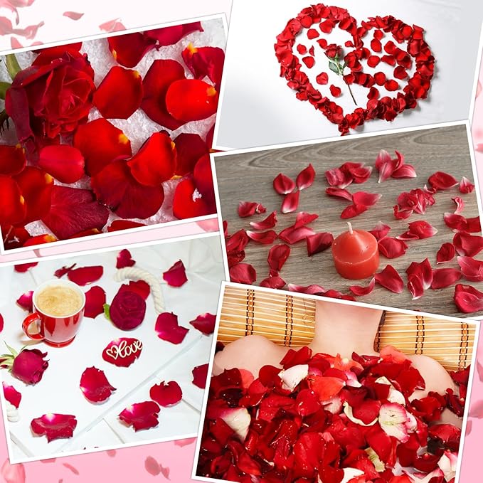 240 PCS Real Red Rose Flower Petals Confetti for Wedding Flower Girl to Throw 2.11oz Freeze Dried Rose Petal for Proposal Centerpieces BabyShower Valentine's Day Romantic Night Decor