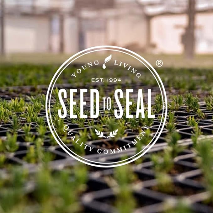 Young Living Lavender Calming Vegan Bath Bombs with Coconut Oil and Sweet Almond Oil - 4 Pack