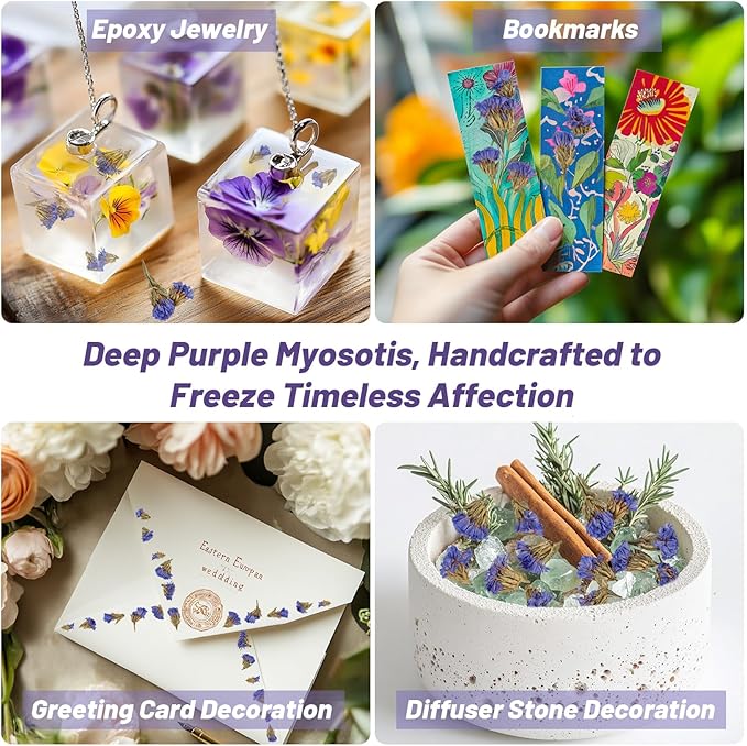 Sukh Dried Deep Purple Myosotis - Natural Dry Flowers and Herbs 3oz Bulk Don't Forget Me Flower for DIY Sachets,Soap,Candle,Bath Bombs Making and Wedding Party Decoration