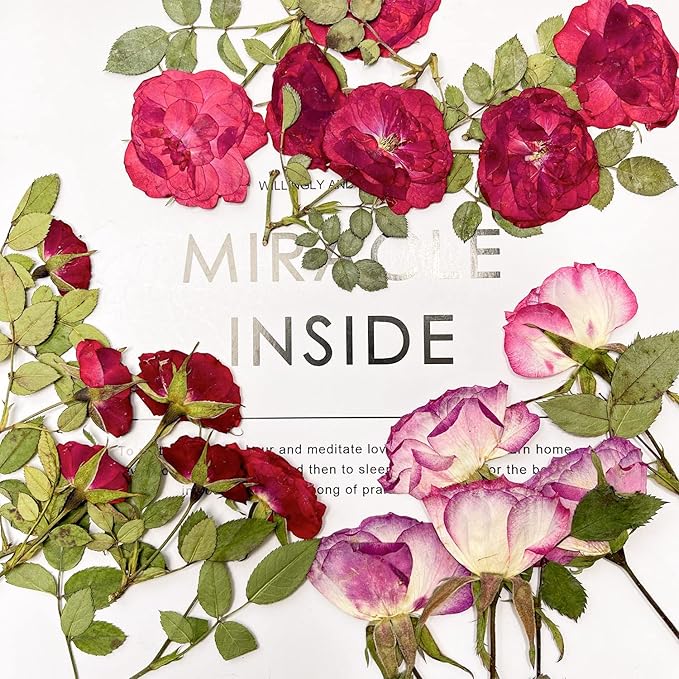 16 Pcs Dried Pressed Flowers, Nauture Pressed Rose, Multi Color Dry Rose, Real Pressed Flora for DIY Jewelry Candle Soap Vase Making Nail Card Scrapbook Art Craft Floral Decors