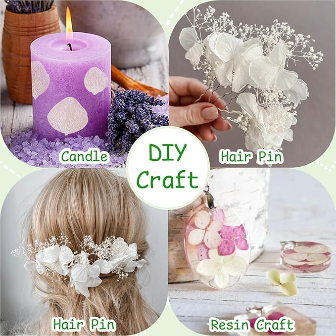 1500Pcs Real Dried Ivory White Hydrangea Flower Petals - Natural smal Petals for Wedding, Party Confetti, Romantic Night, Proposal Decor, Handcrafts (1.06 oz)