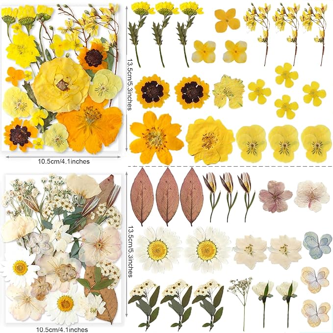 269PCS Dried Pressed Flowers for Resin Craft - YouthBro Real Nature Flowers Set with Butterfly Stickers for DIY Jewelry Nail Scrapbook Art Floral Decors Iridescent
