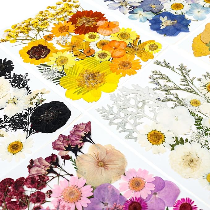 150Pcs Pressed Flowers for Crafts, Colorful Dried Flowers for Crafts Real Natural Dried Pressed Flowers Dry Leaves Bulk for Resin, DIY Art, Scrapbook, Jewelry, Card, Candle & Soap Making with Tweezers