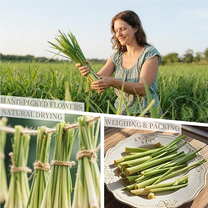 Sukh Dried Lemongrass - Natural Flowers and Herbs 3oz Bulk Loose Leaf Lemongrass for Soap Candle Resin Crafts Making,Bath Bombs,Wedding Party Decoration,Syrup