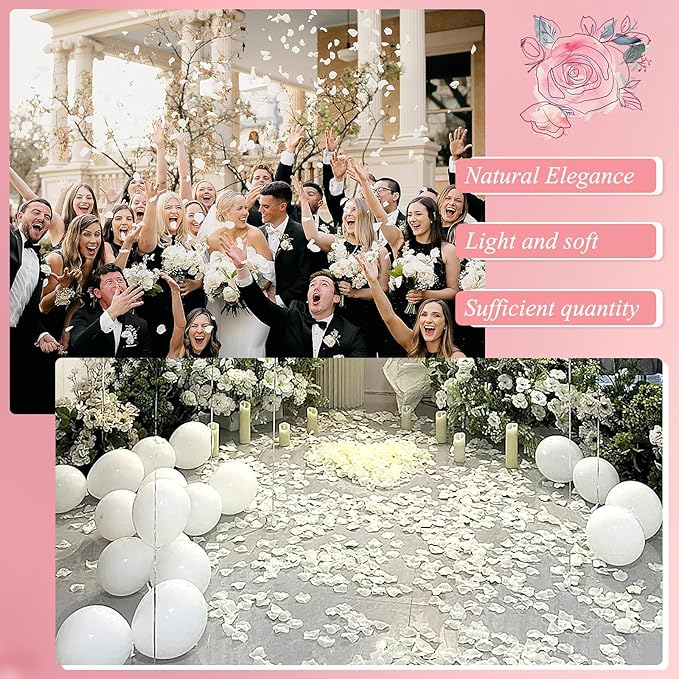 240 PCS Real Dried White Rose Flower Petals Confetti 2.11oz Freeze Preserved Flower Petals for Wedding Party Decor Proposal Centerpieces Valentine's Day Romantic Night Decor