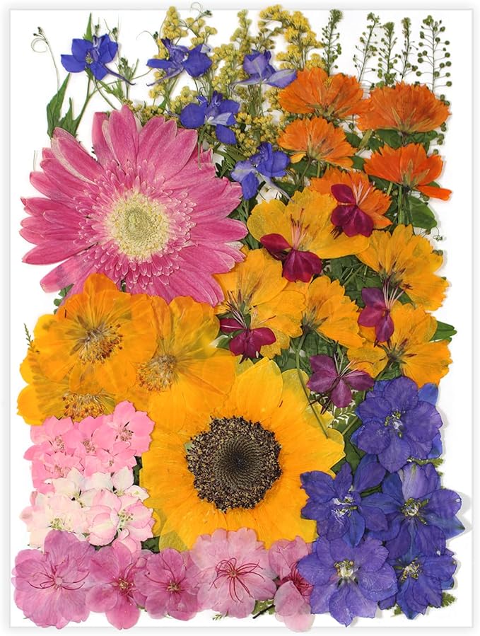18 Types 75 Pcs Dried Pressed Leaves Flowers Real Natural Dried Plant for DIY Art Crafts, Candle Soap Making, Jewelry, Card Decorations, Phone Case