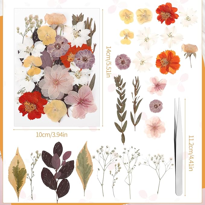 100 Pcs Dried Pressed Flowers, Real Natural Dried Wildflowers Leave with Tweezer Floral Decoration for DIY Crafts, Candle Making, Resin Mold and Scrapbooking Mixed Yellow