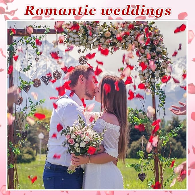 240 PCS Real Red Rose Flower Petals Confetti for Wedding Flower Girl to Throw 2.11oz Freeze Dried Rose Petal for Proposal Centerpieces BabyShower Valentine's Day Romantic Night Decor