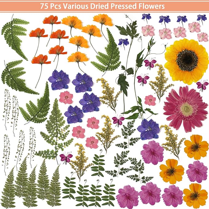 18 Types 75 Pcs Dried Pressed Leaves Flowers Real Natural Dried Plant for DIY Art Crafts, Candle Soap Making, Jewelry, Card Decorations, Phone Case