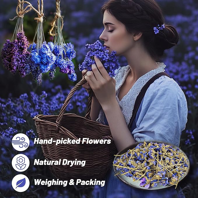 Sukh Dried Deep Purple Myosotis - Natural Dry Flowers and Herbs 3oz Bulk Don't Forget Me Flower for DIY Sachets,Soap,Candle,Bath Bombs Making and Wedding Party Decoration
