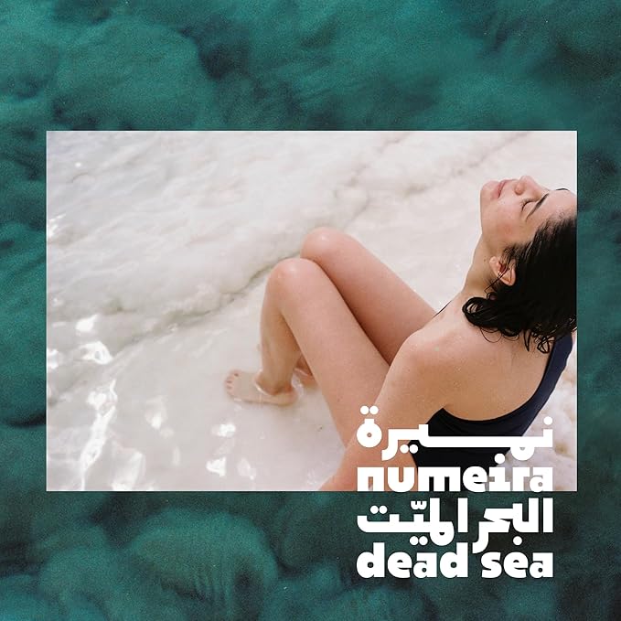 Dead Sea Magnesium Flake Bath Soak - 100% Pure Unscented Magnesium Chloride Flakes (2.2 lb Bulk) for Relax, Muscle Relief, and Recovery