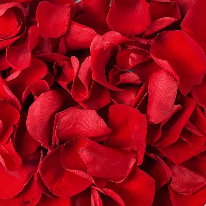180 PCS Dried Real Red Rose Flower Petals Confetti for Wedding, 1.75oz Preserved Freeze Petals for Romantic Night Wedding Proposal Valentine's Day Centerpeice Decor