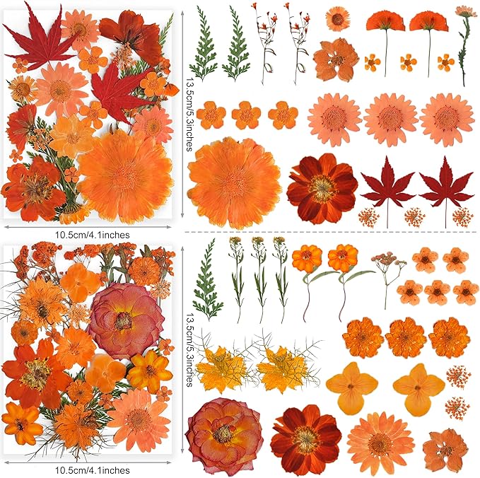 150PCS Orange Fall Dried Pressed Flowers with Butterfly Stickers - Youthbro Real Nature Flowers Set for Resin DIY Jewelry Candle Soap Vase Making Nail Card Scrapbook Art Craft Floral Decors