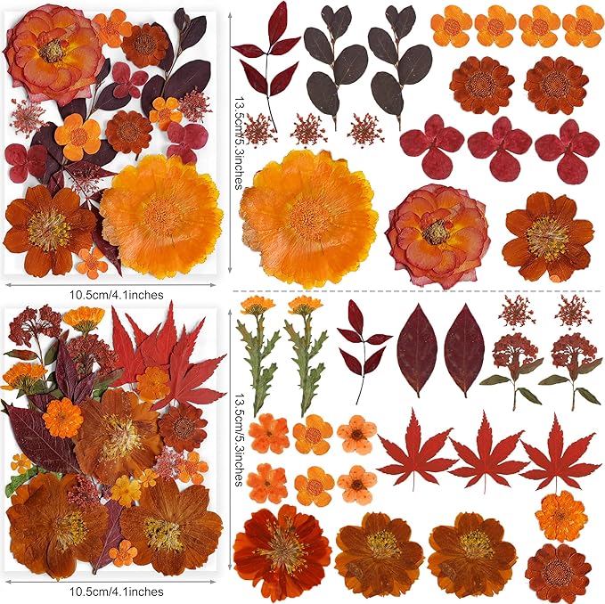 141PCS Brown Fall Dried Pressed Flowers for Resin - YouthBro Real Nature Flowers Butterfly Stikers Set for Christmas DIY Candle Soap Vase Making Nail Card Scrapbook Art Craft Floral Decors