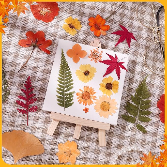 100 Pcs Fall Dried Pressed Flowers, Real Orange Dried Wildflowers Leave with Tweezer Floral Decoration for DIY Crafts, Candle Making, Resin Mold and Scrapbooking