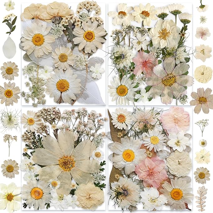 140PCS White Dried Pressed Flowers with Butterfly Stickers - YouthBro Real Nature Flowers Craft Set for Resin DIY Jewelry Candle Soap Vase Making Nail Card Scrapbook Art Floral Decors