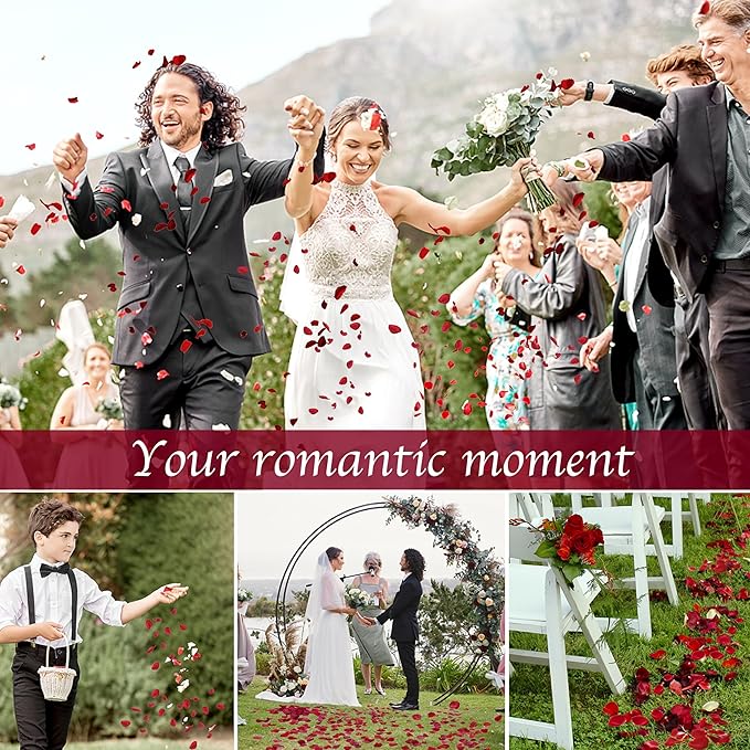 300 PCS Dried Real Red Rose Flower Petals Confetti for Wedding, 2.82oz Preserved Freeze Flower Girl Petals for Romantic Night Wedding Proposal Centerpeice Shower Party Decor